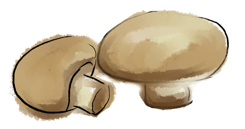 Mushrooms-500x2634px