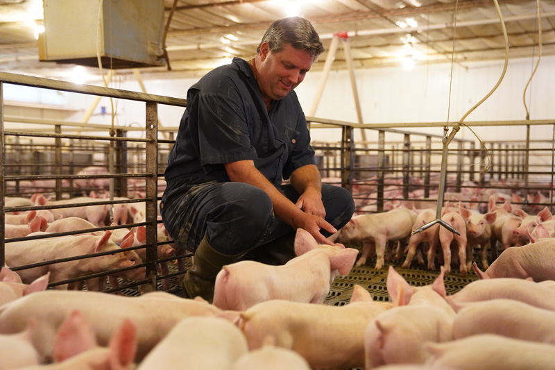 America's Pig Farmer' – Positively Pennsylvania