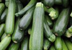 zucchini-stock