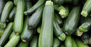 zucchini-stock