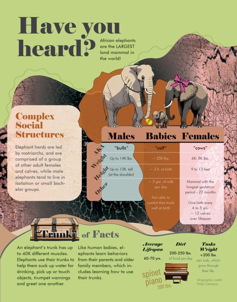 Infograph-elephant-2023-1080x1373px